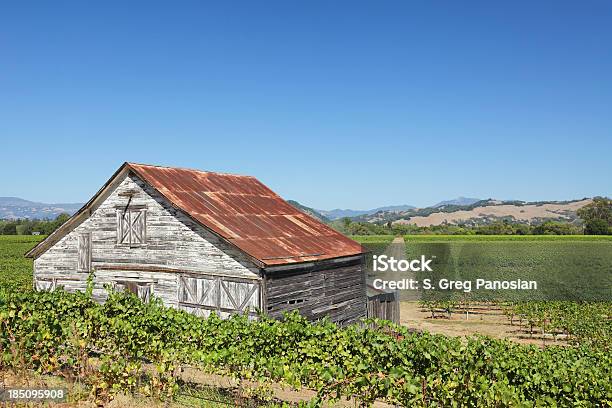 Vineyard Barn Stockfoto und mehr Bilder von Agrarbetrieb - Agrarbetrieb, Farbbild, Feld