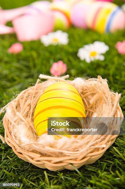 채색기법 부활제 에그스 있는 네스트 On Spring 필드 0명에 대한 스톡 사진 및 기타 이미지 - 0명, 공휴일, 꽃-식물