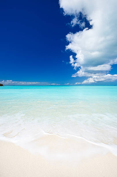 blanc immaculé des caraïbes plage avec ciel bleu et nuages - clear sky vacations vertical saturated color photos et images de collection