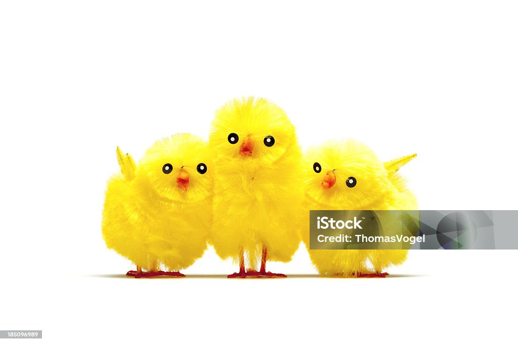 Kuscheln Baby Huhn-Chick Humor lustige Oster - Lizenzfrei Ostern Stock-Foto