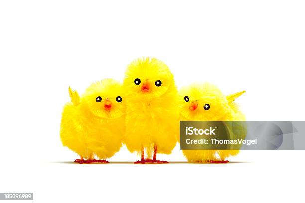 Kuscheln Baby Huhnchick Humor Lustige Oster Stockfoto und mehr Bilder von Ostern - Ostern, Fotografie, Freisteller – Neutraler Hintergrund