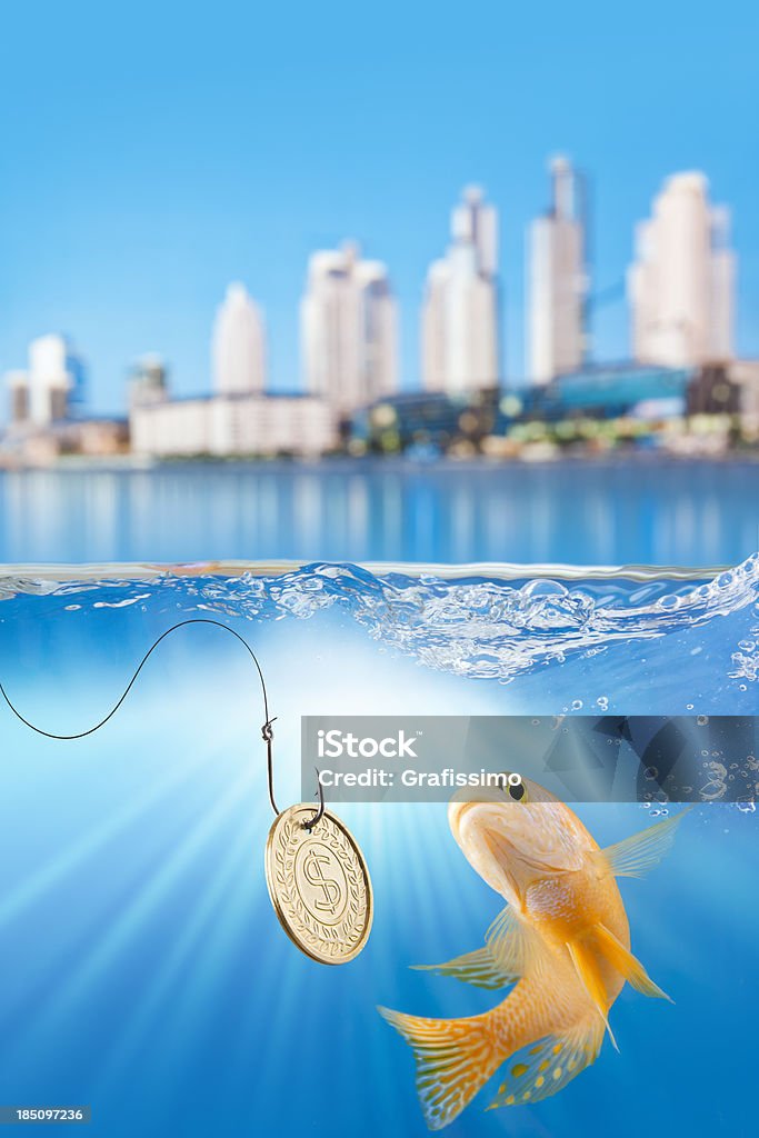 Fish fishing bait with dollar coin and cityscape  Currency Stock Photo
