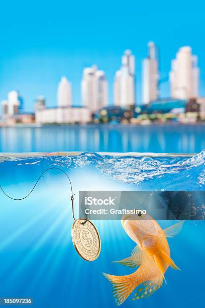 Fish Fishing Bait With Dollar Coin And Cityscape Stock Photo - Download Image Now - Currency, Trapped, Animal