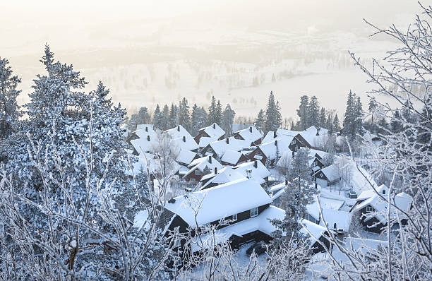 Houses close by eachother in green/white environment, Oslo Norway