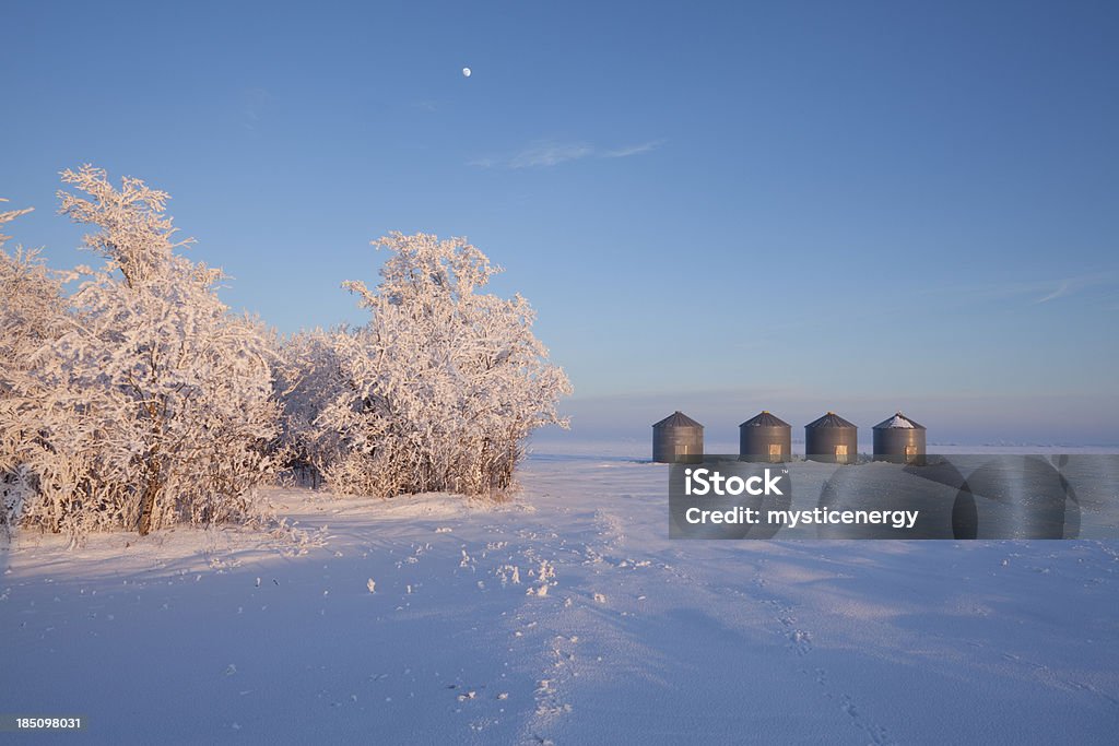 Fiore di Storage - Foto stock royalty-free di Agricoltura