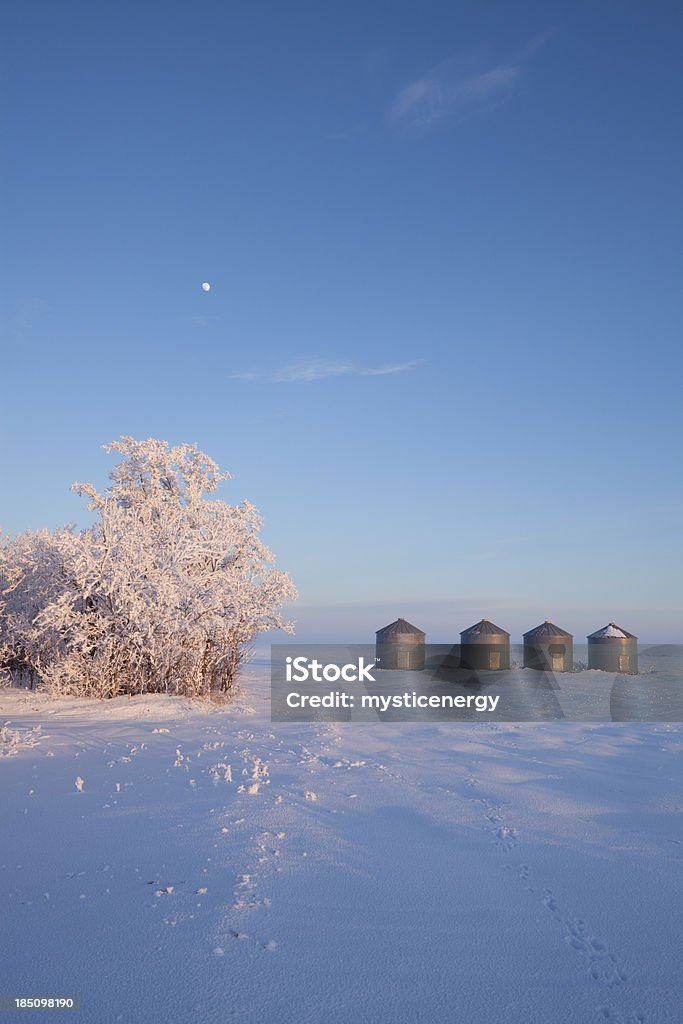 Para Armazenamento de Grãos - Foto de stock de Neve royalty-free