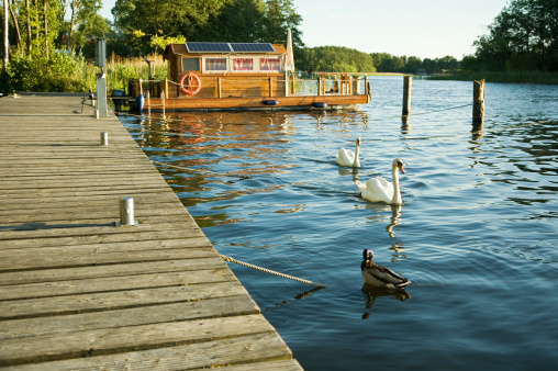a houseboat is moored at the boardwalk- In the evening light swans swim by