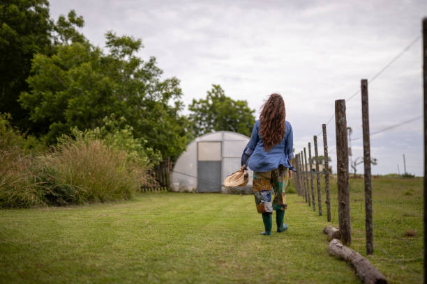 mujer ambientalista en una granja urbana - rural community fotografías e imágenes de stock