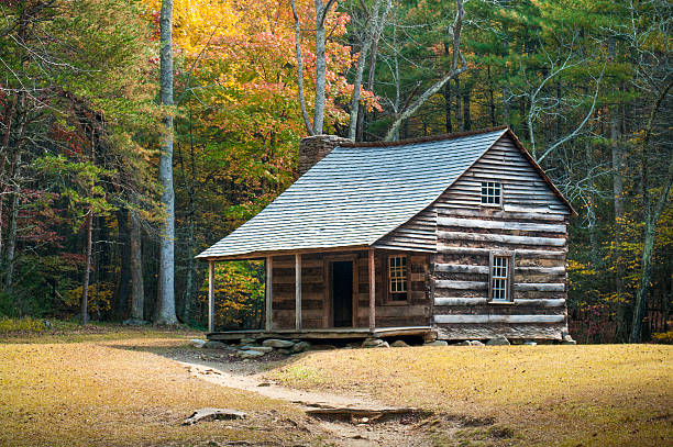 farmstead, cades 코브, great smoky mountains, gatlinburg, 테네시, usa - cades 뉴스 사진 이미지