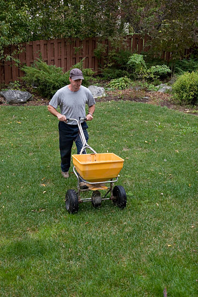 istock Landscaper Fertilizes a Lawn 185099548