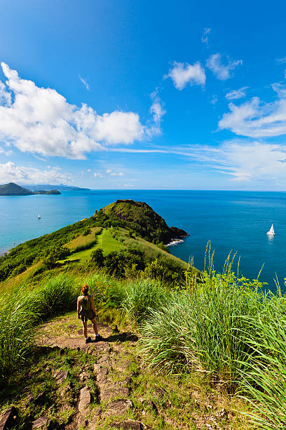 istock Pigeon Island National Park, St. Lucia 185099761