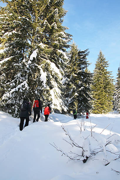 istock Group of hikers going to the mountain top 185100034