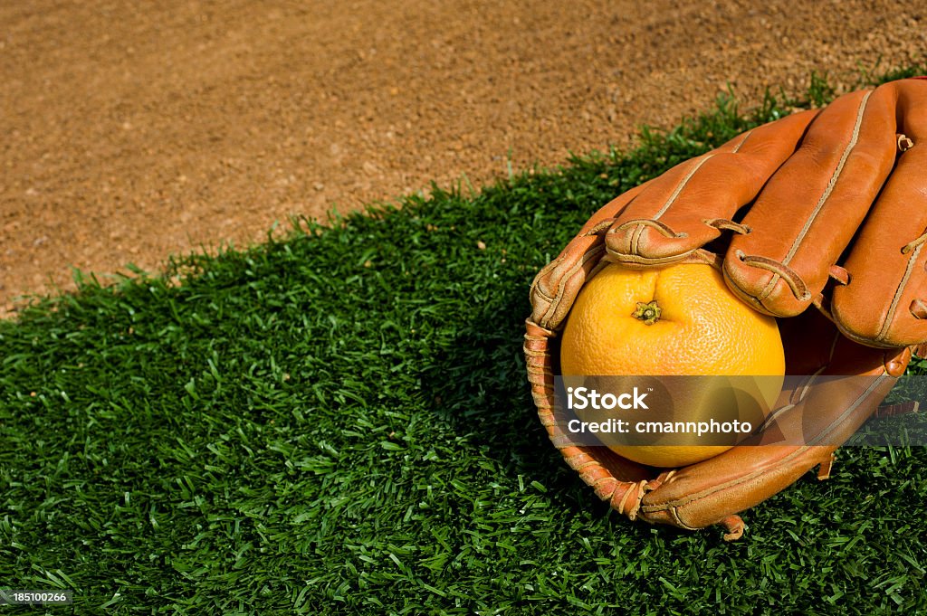 Grapefruit League Baseball - Zbiór zdjęć royalty-free (Baseball)