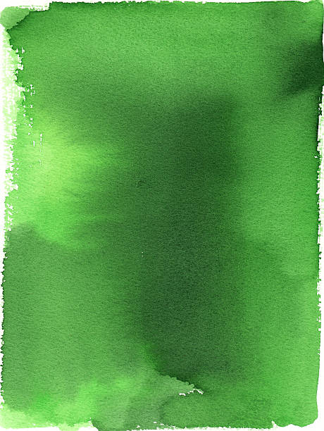 illustrazioni stock, clip art, cartoni animati e icone di tendenza di sfondo di pittura ad acquerello verde - watercolor painting backgrounds abstract textured effect