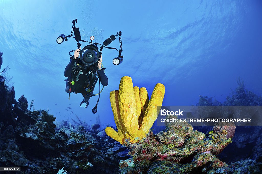Photographe sous-marin - Photo de Photographe libre de droits