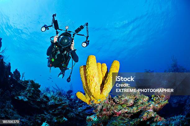 Underwater Photographer Stock Photo - Download Image Now - Photographer, Underwater, Snorkeling