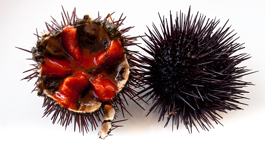 Close-up of sea urchins , ready to eat