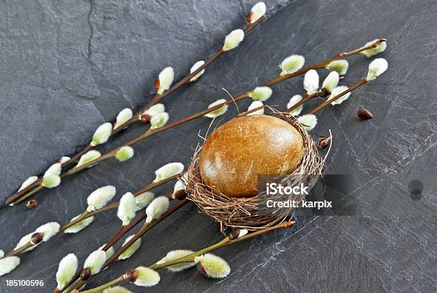 Egg In Nest And Pussy Willow — стоковые фотографии и другие картинки Без людей - Без людей, Весна, Ветвь - часть растения