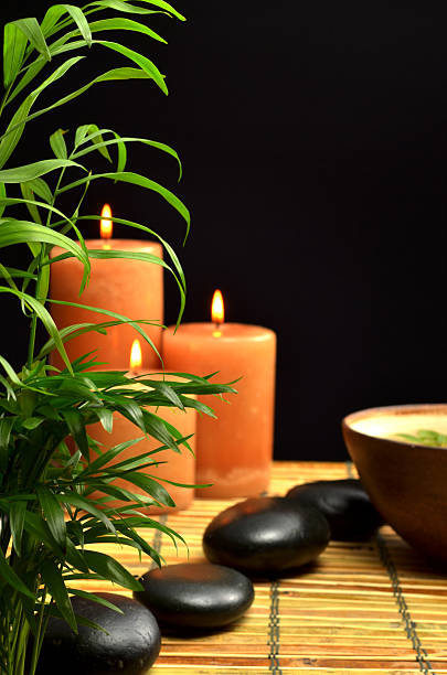 istock house plant portrait view 185100885