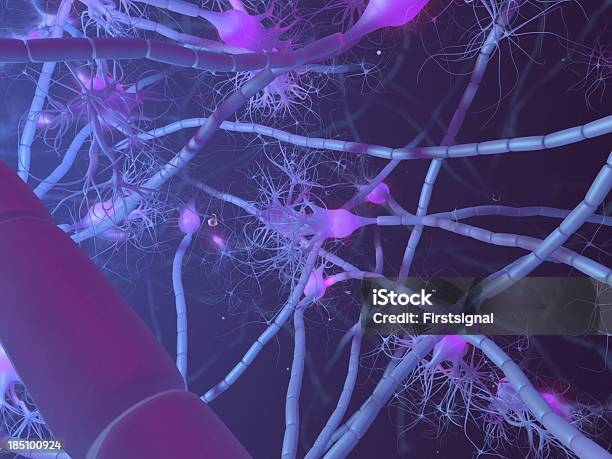 Активный Neurone — стоковые фотографии и другие картинки Purkinje Neuron - Purkinje Neuron, Аксон, Анатомия