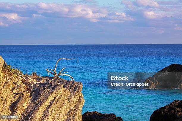 Mar Ciff Vista - Fotografias de stock e mais imagens de Ao Ar Livre - Ao Ar Livre, Azul, Bermudas - Ilhas do Oceano Atlântico