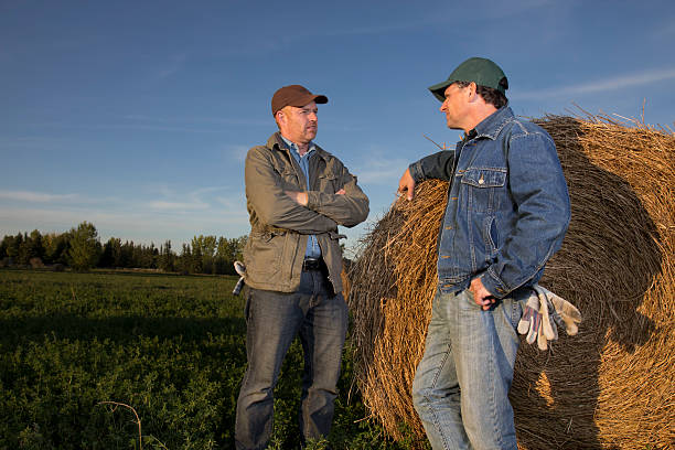 Farmers Talking stock photo
