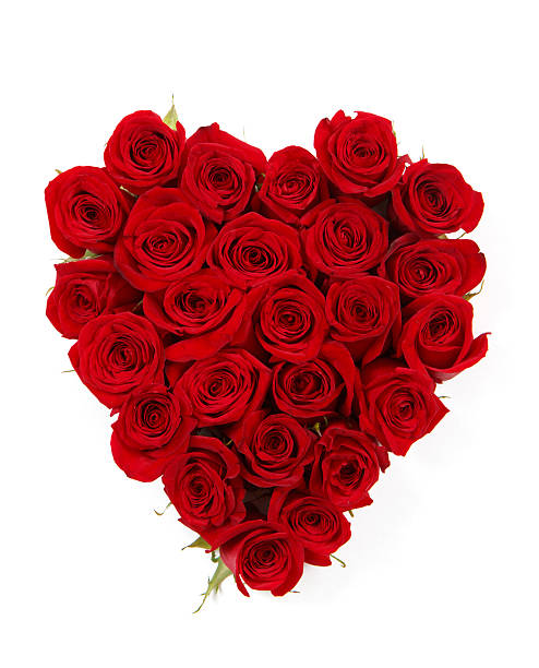 istock Red Roses In Heart Shape On White 185101138