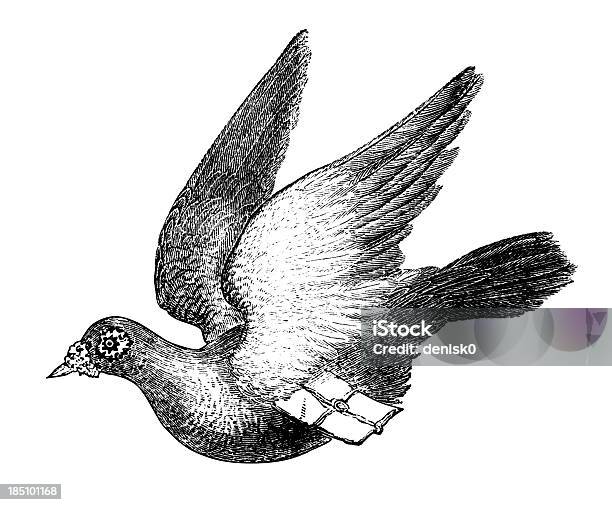 Carrier Pigeon Stock Vektor Art und mehr Bilder von Wildtaube - Wildtaube, Brieftaube, Brief - Dokument