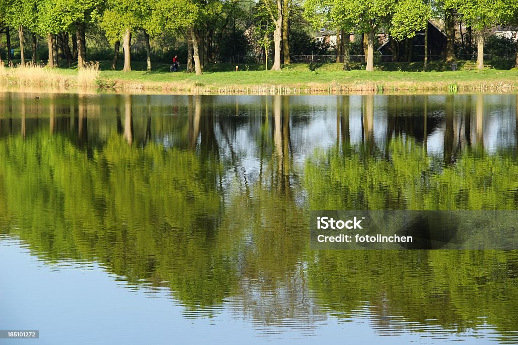 Niederländische Landschaft mit See - Lizenzfrei Baum Stock-Foto