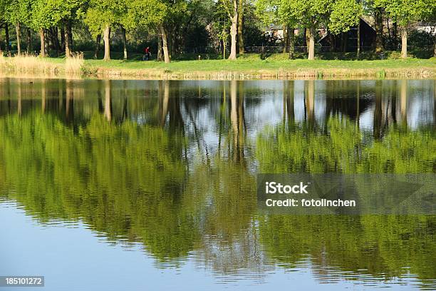 Niederländische Landschaft Mit See Stockfoto und mehr Bilder von Baum - Baum, Boulevard, Fotografie