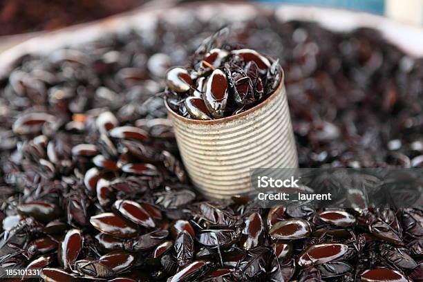 Gebratene Schwarze Roach Stockfoto und mehr Bilder von Asiatische Kultur - Asiatische Kultur, Asien, Blechdose