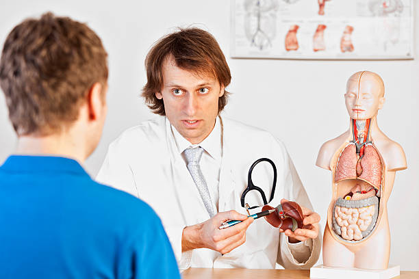Doctor explaining liver problems stock photo