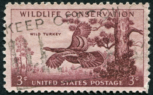 Cancelled Stamp From The United States Featuring A Wild Turkey And Commemorating Wildlife Conservation.
