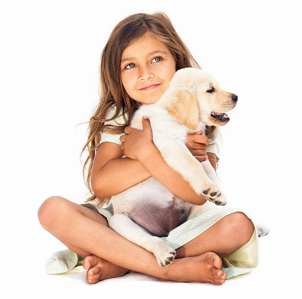 rapariga abraçar seu animal de estimação - isolated dog animal puppy imagens e fotografias de stock