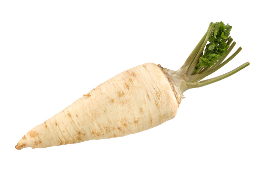 Parsnip isolated vegetable on white background