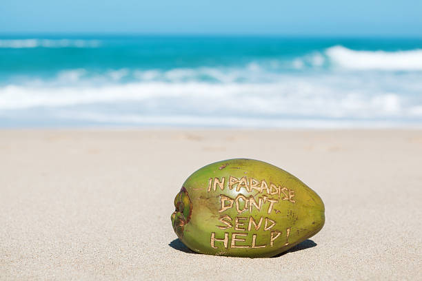 Vacation in Paradise Coconut Message to Home Hz "Subject: Vacationer stranded in Deserted Tropical Island Paradise sending coconut message to home.Location: Polihale Beach, Kauai, Hawaii, USA." desert island stock pictures, royalty-free photos & images