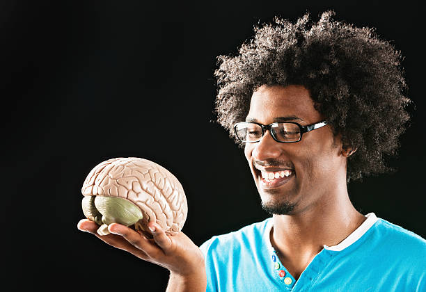 Isolated Human Brain and Skull Anatomical Illustration