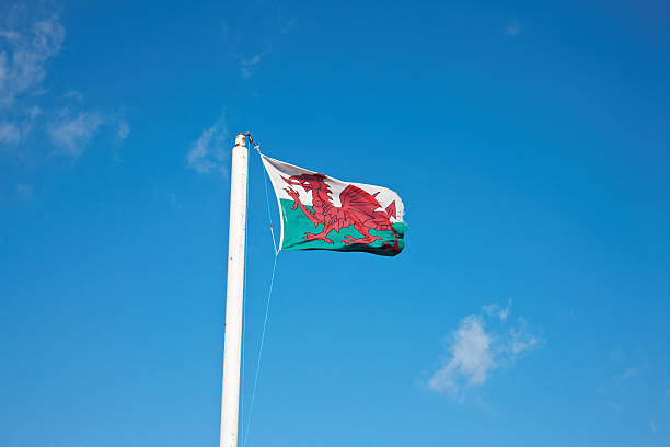 flaga walii dmuchać na wietrze - welsh flag welsh culture flag green zdjęcia i obrazy z banku zdjęć