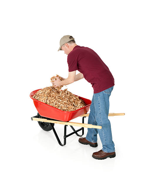 istock Gardener with Wheelbarrow Full of Mulch 185104569