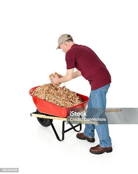 Gardener With Wheelbarrow Full Of Mulch Stock Photo - Download Image Now - 30-39 Years, 40-49 Years, Adult