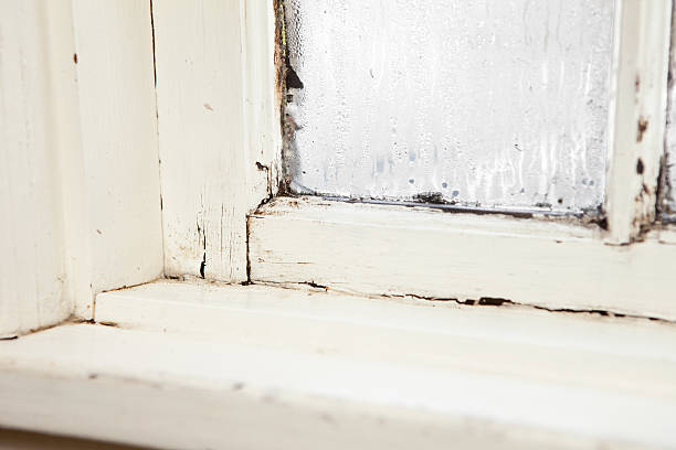istock Close Up of Damaged, Rotting Window Inside Older Home 185104573