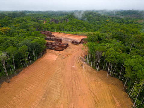 Vista aérea de un patio maderero en la selva amazónica photo