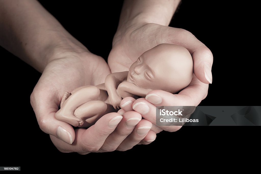 Pro vita concetto di donna con finto Feto di 12 settimane - Foto stock royalty-free di Feto - Stadio della procreazione umana