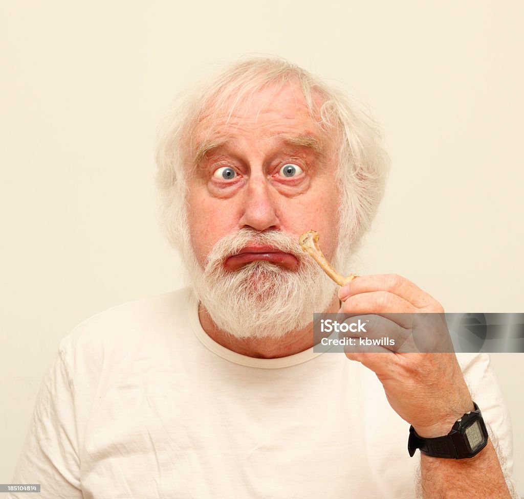 Faneca sénior de pêlo branco macho Vesgo comer Osso de Frango - Royalty-free Comer Foto de stock