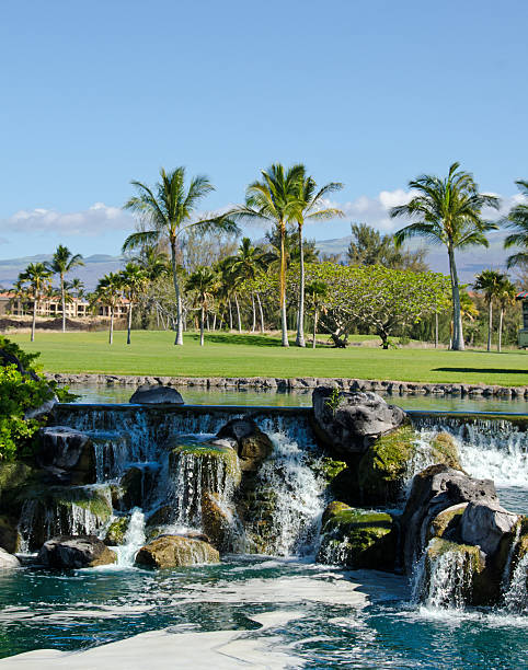 hawaii oceanside golf fairway - hawaii islands big island waterfall nobody foto e immagini stock