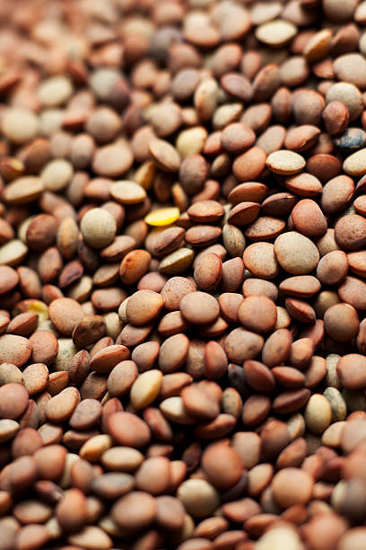 lentilhas - lentil full frame macro close up imagens e fotografias de stock