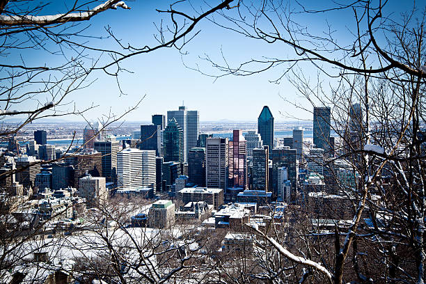 city view of montreal in winter - 滿地可 個照片及圖片檔