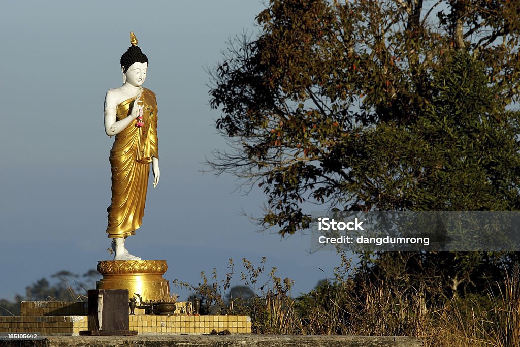 Stałego posągów Buddy w lesie - Zbiór zdjęć royalty-free (Azja)