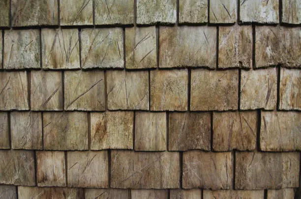 Wooden shingles texture on a rustic wall, weathered and aged wood patterns for background.