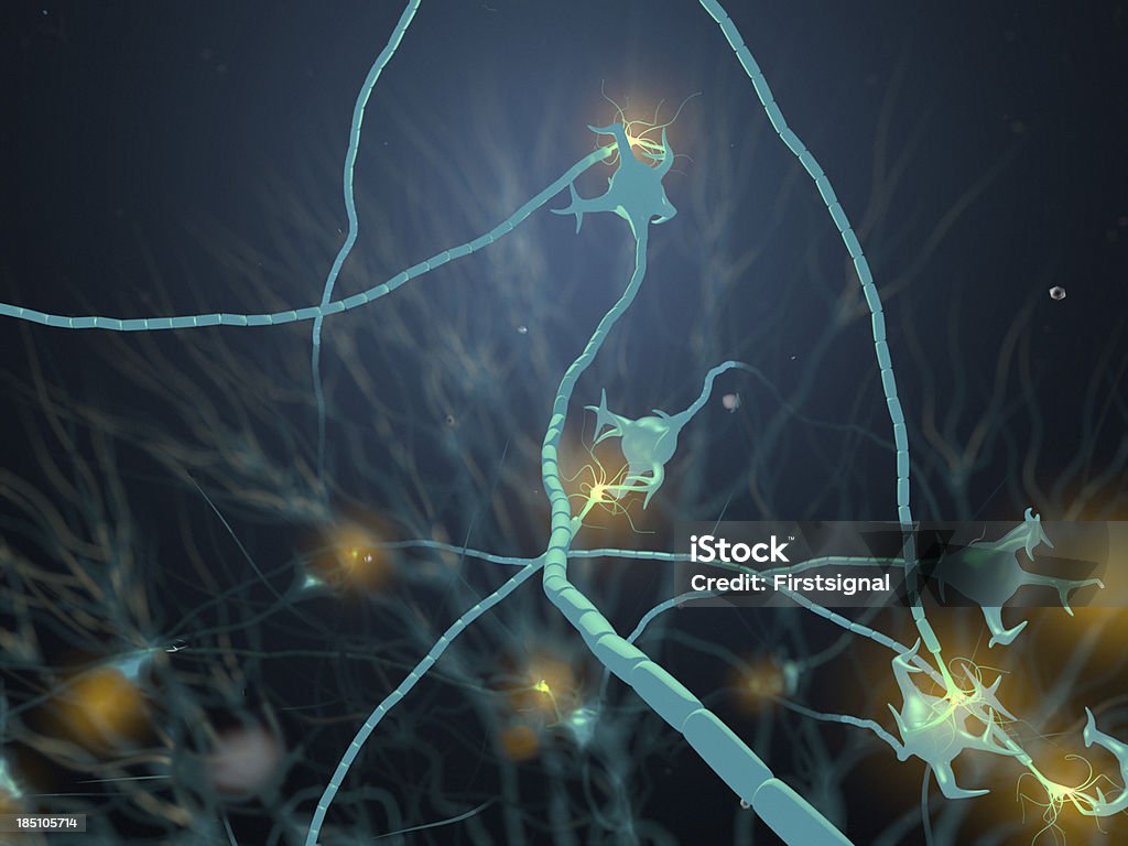 Neurónio activa - Royalty-free Anatomia Foto de stock
